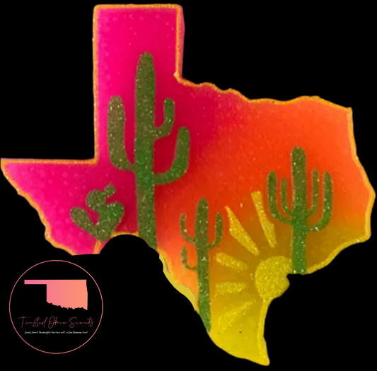 State of Texas with Windmill and Cactus Freshie