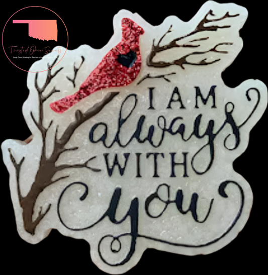 Whispers of a Cardinal Freshie